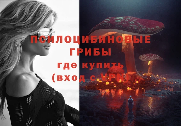 прущие крисы Алзамай