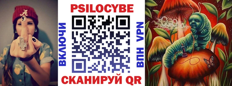 гидра рабочий сайт  Стародуб  Псилоцибиновые грибы мухоморы 