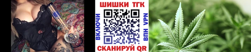 MEGA вход  Стародуб  Шишки марихуана индика  сколько стоит 